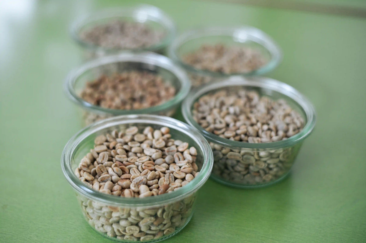 Café cru para torrefadores caseiros