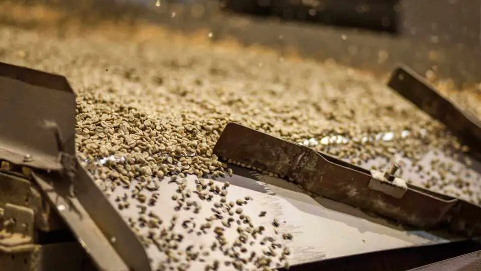 Arabica-Kaffee. Herkunft, Qualität und Geschmack