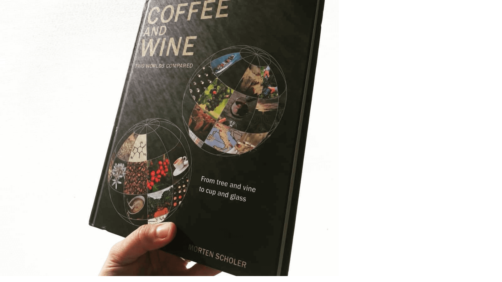 Wein und Kaffee – Gemeinsamkeiten und Unterschiede